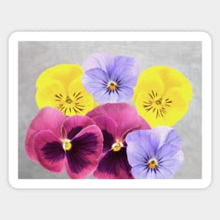 Pretty Pansy Flowers Sticker